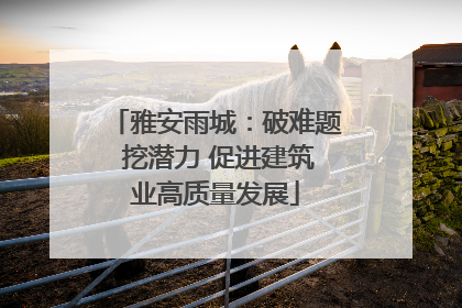 雅安雨城：破难题 挖潜力 促进建筑业高质量发展